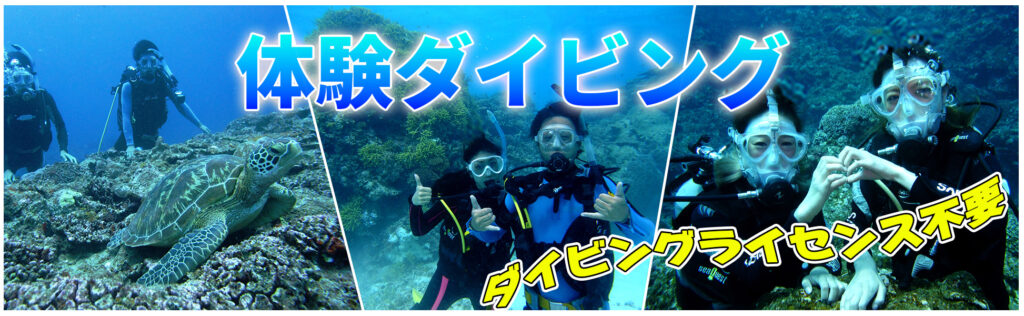 体験ダイビングコーストップ画面