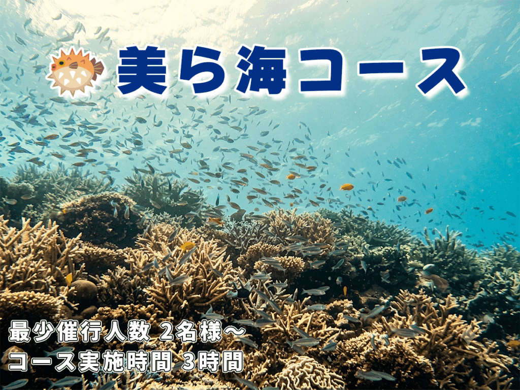 美ら海コース