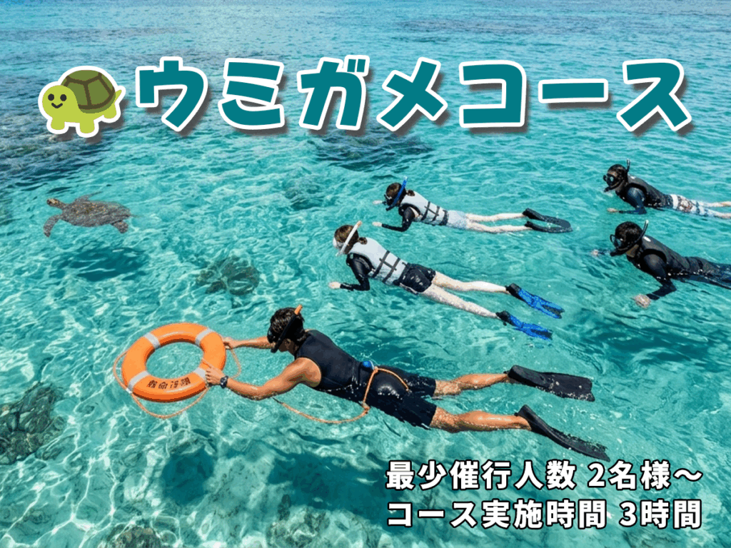ウミガメコース