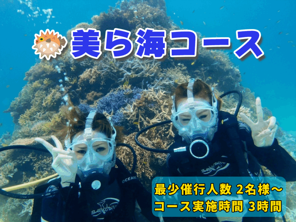 体験ダイビング美ら海コース