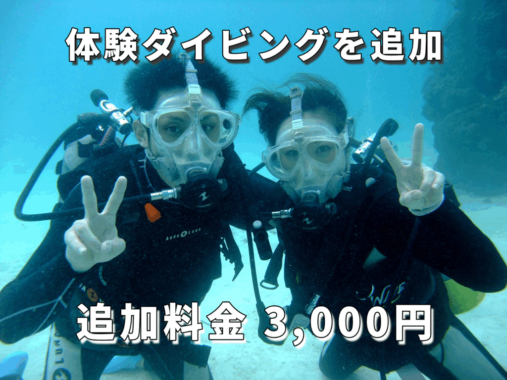 体験ダイビング追加画面